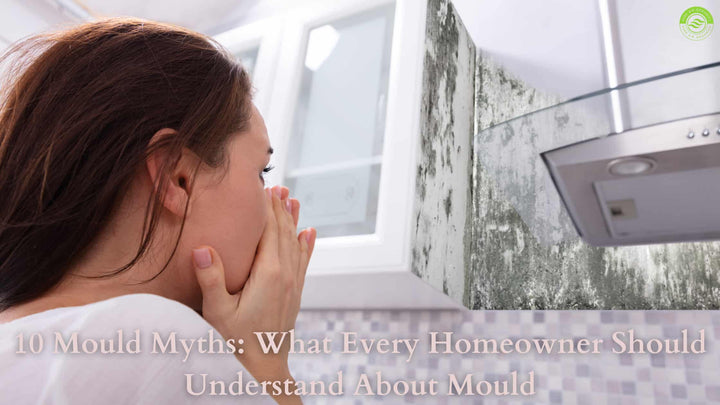 10 Mould Myths What Every Homeowner Should Understand about Mould - Pure Air Organics