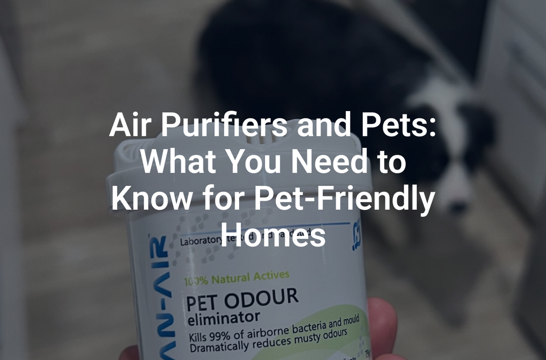 Pet-Friendly Homes with Air Purifiers Gel Diffusers