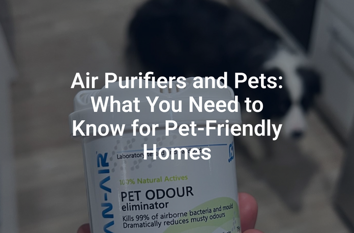 Pet-Friendly Homes with Air Purifiers Gel Diffusers
