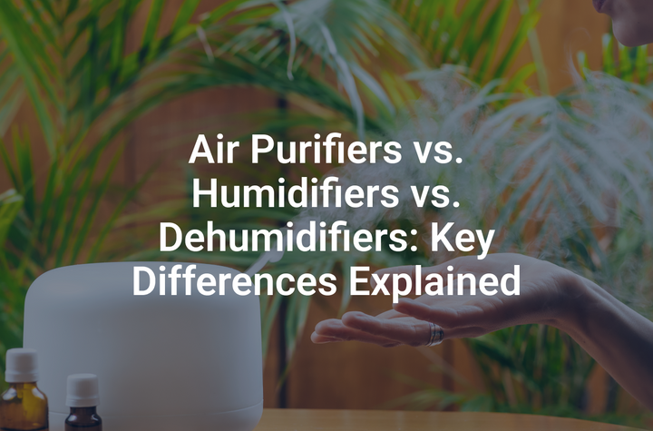 Air Purifiers vs. Humidifiers vs. Dehumidifiers: Key Differences Explained