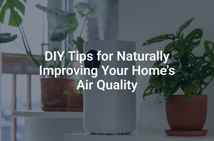 DIY Tips for Naturally Improving Your Home's Air Quality