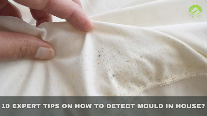 Expert-tips-on-how-to-detect-mould-in-house-by-pure-air-organics