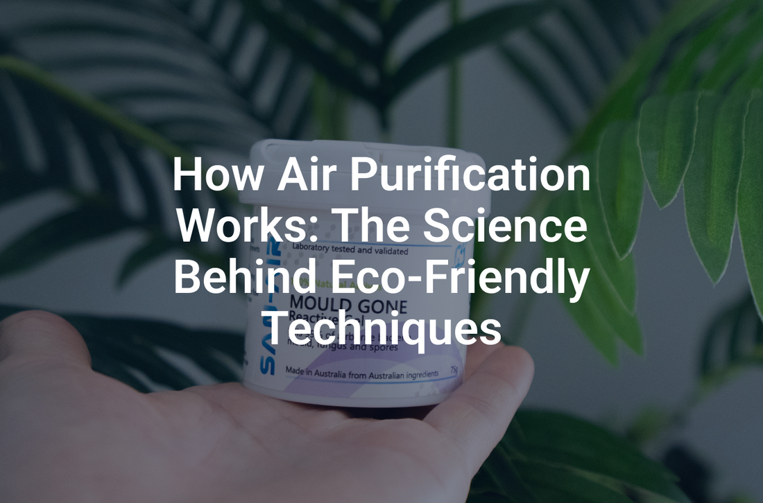 How Air Purification Works: The Science Behind Eco-Friendly Techniques