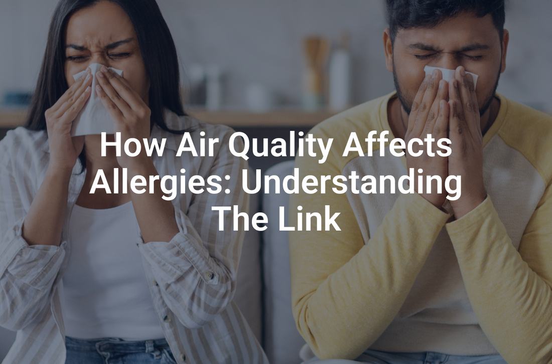 How Air Quality Affects Allergies: Understanding the Link