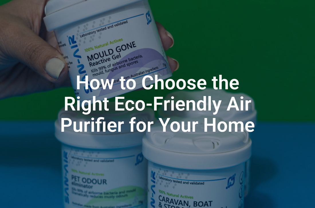 How to Choose the Right Eco-Friendly Air Purifier for Your Home