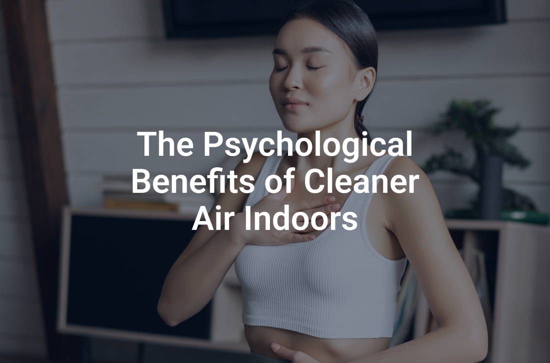 The Psychological Benefits of Cleaner Air Indoors