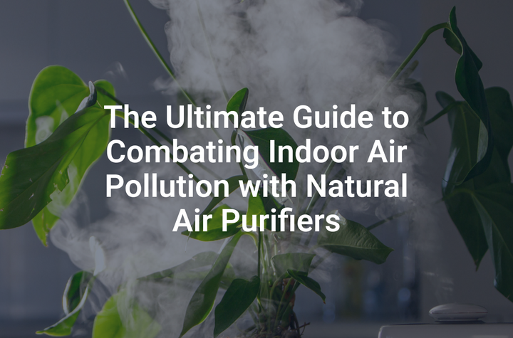 The Ultimate Guide to Combating Indoor Air Pollution with Natural Air Purifiers