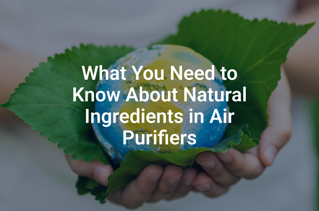 What You Need to Know About Natural Ingredients in Air Purifiers