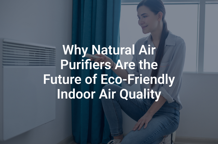 Why Natural Air Purifiers Are the Future of Eco-Friendly Indoor Air Quality