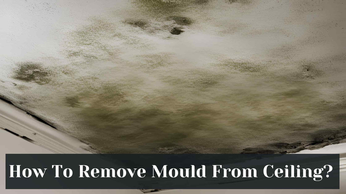 how to remove mould from ceiling