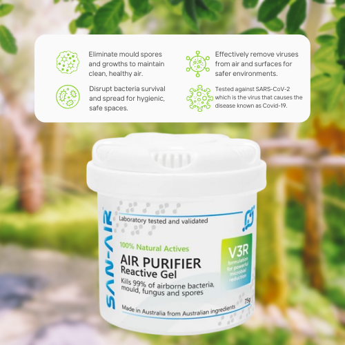 75G Air Purifier Gel Diffuser