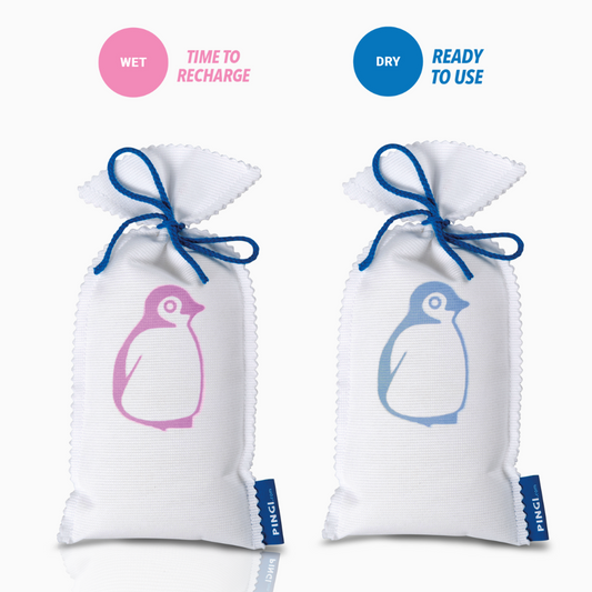 250g Pingi Reusable Moisture Absorber